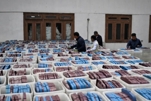 préparatif élections népal